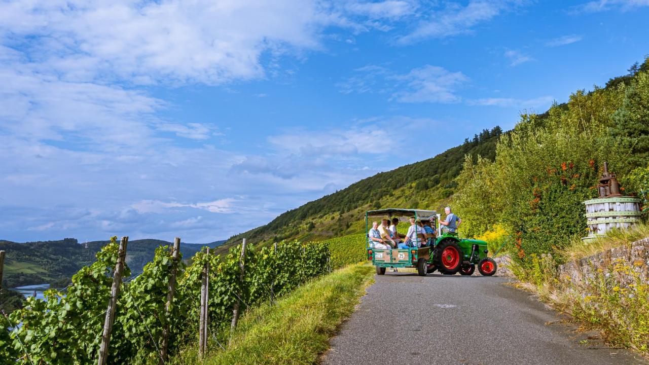 Bed and Breakfast Ferienweingut Hirschen Schulstrasse Burg  Zewnętrze zdjęcie