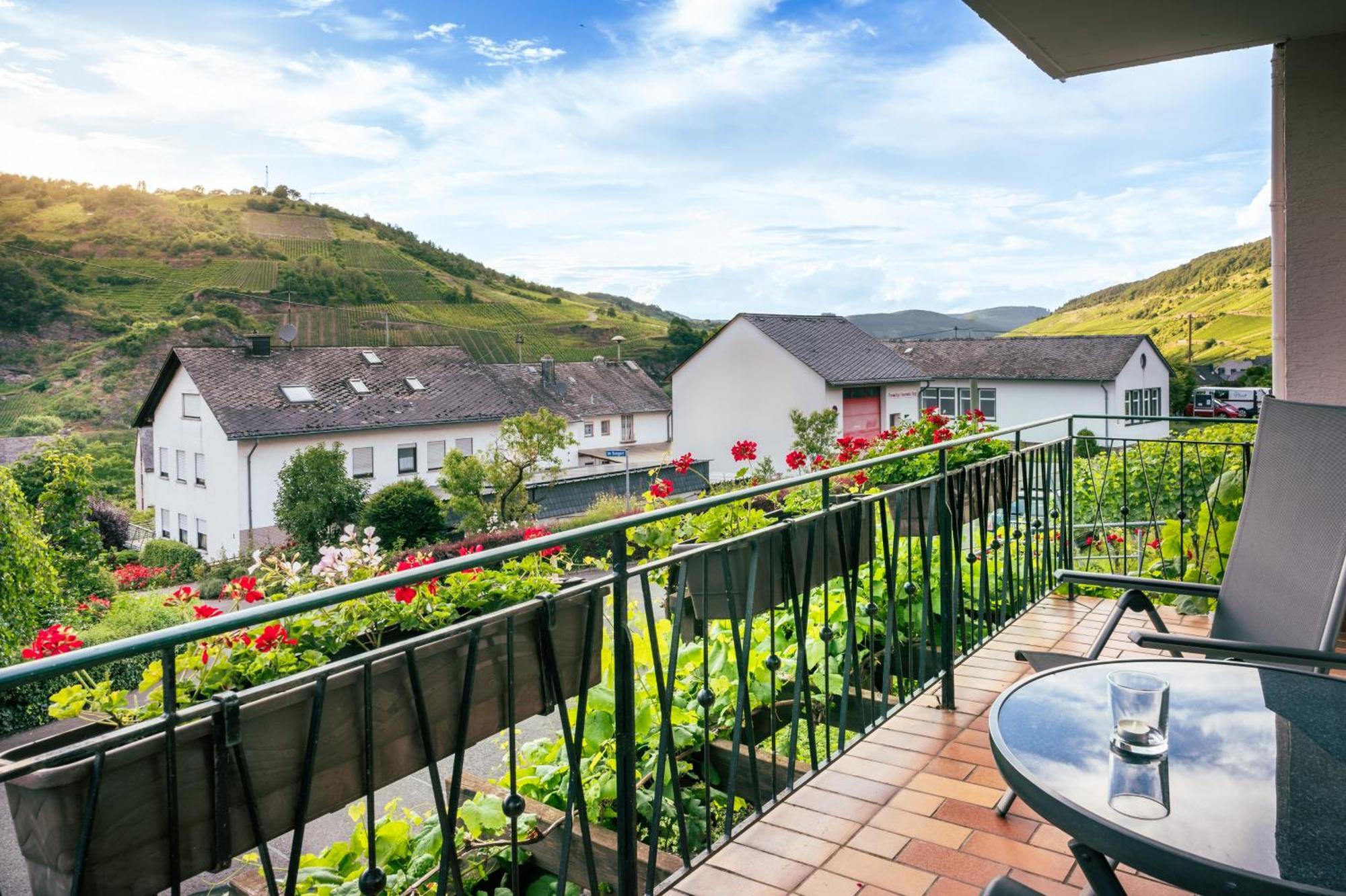Bed and Breakfast Ferienweingut Hirschen Schulstrasse Burg  Zewnętrze zdjęcie