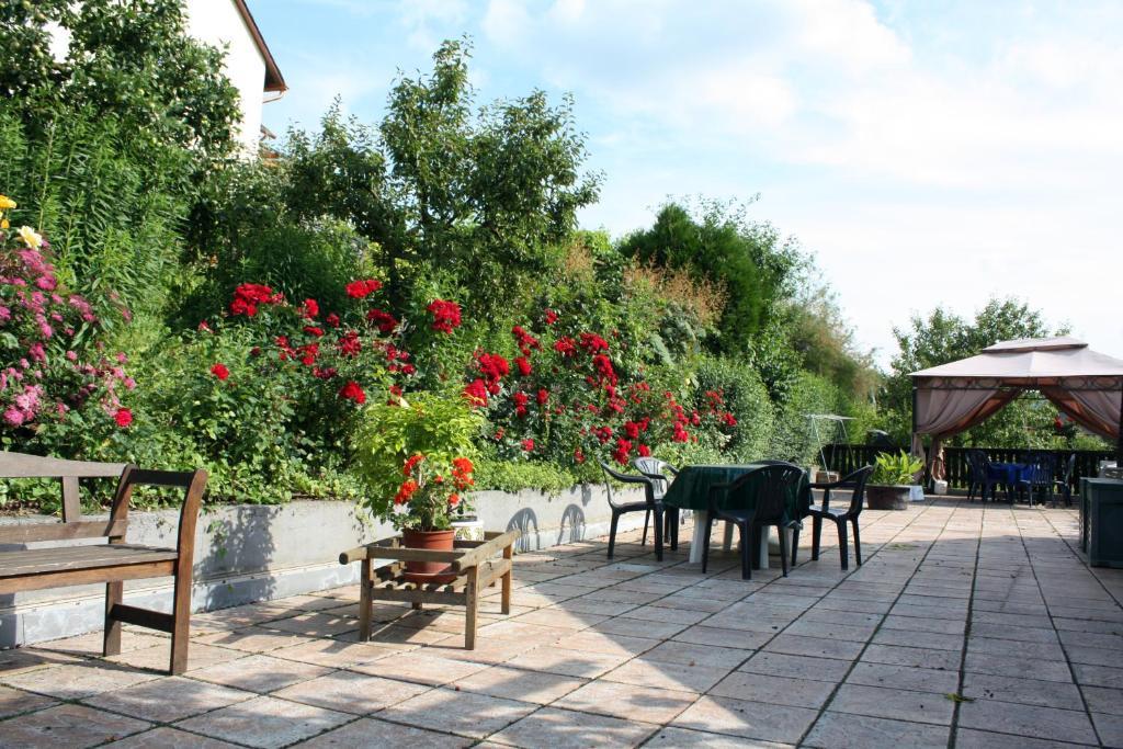 Bed and Breakfast Ferienweingut Hirschen Schulstrasse Burg  Zewnętrze zdjęcie