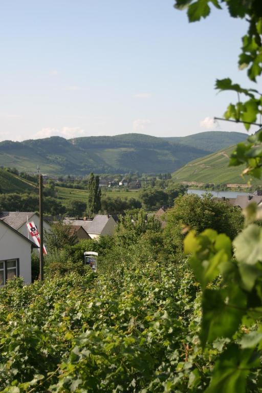 Bed and Breakfast Ferienweingut Hirschen Schulstrasse Burg  Zewnętrze zdjęcie
